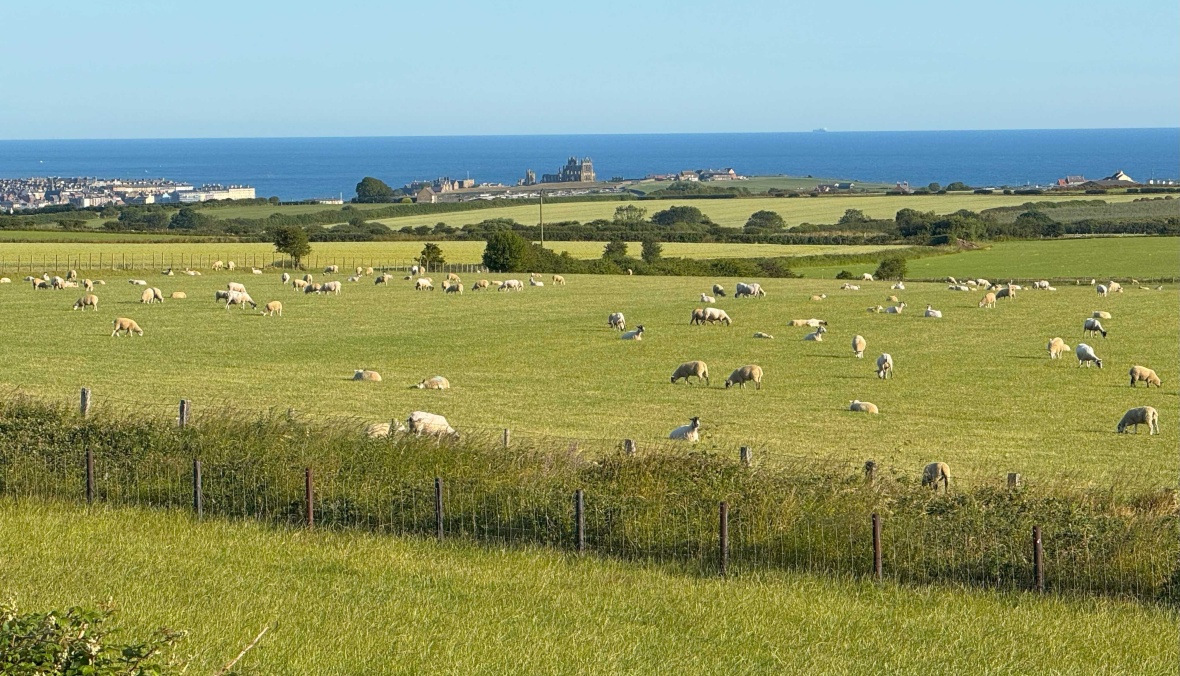 Seaview Deluxe (2 Bed)