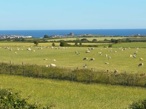 Seaview Deluxe (2 Bed)