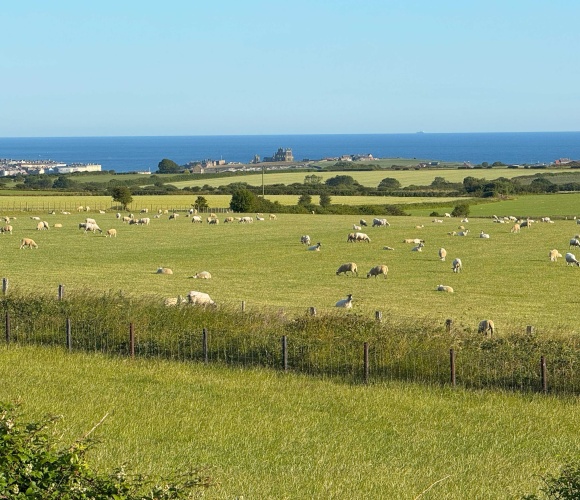 Seaview Deluxe (2 Bed) image